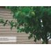Сайдинг коллекция TIMBERBLOCK Пихта — Сахалинская от производителя  Ю-Пласт по цене 391 р